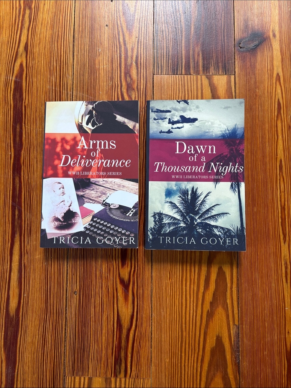 Paperback Books By Tricia Goyer Arms Of Deliverance & Dawn Of A Thousand Nights